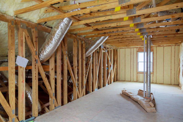 Insulation Repair Services in Spanish Springs, NV