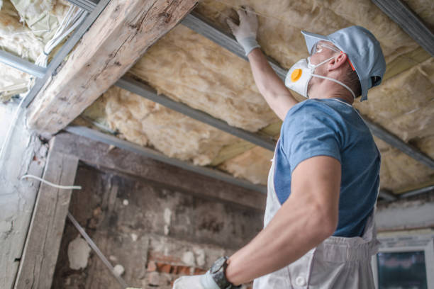 Professional Insulation Contractor in Spanish Springs, NV