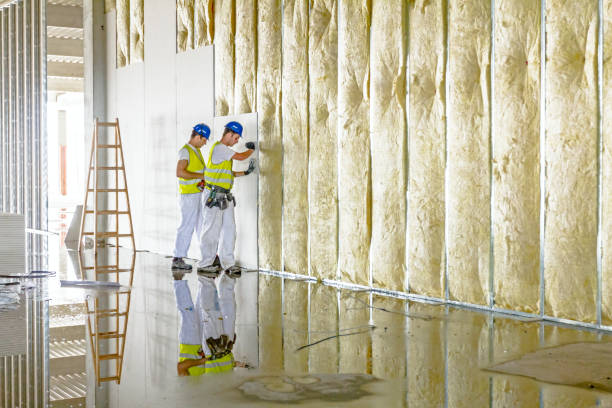 Best Insulation for Commercial Buildings  in Spanish Springs, NV